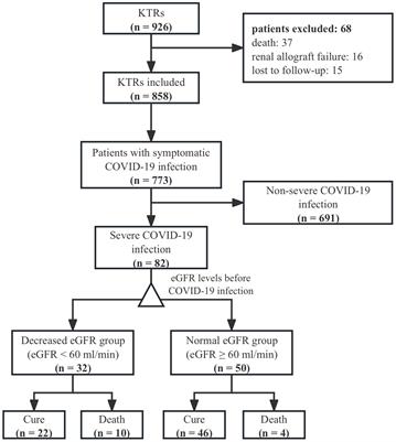 Allograft function predicts mortality in kidney transplant recipients with severe COVID-19: a paradoxical risk factor